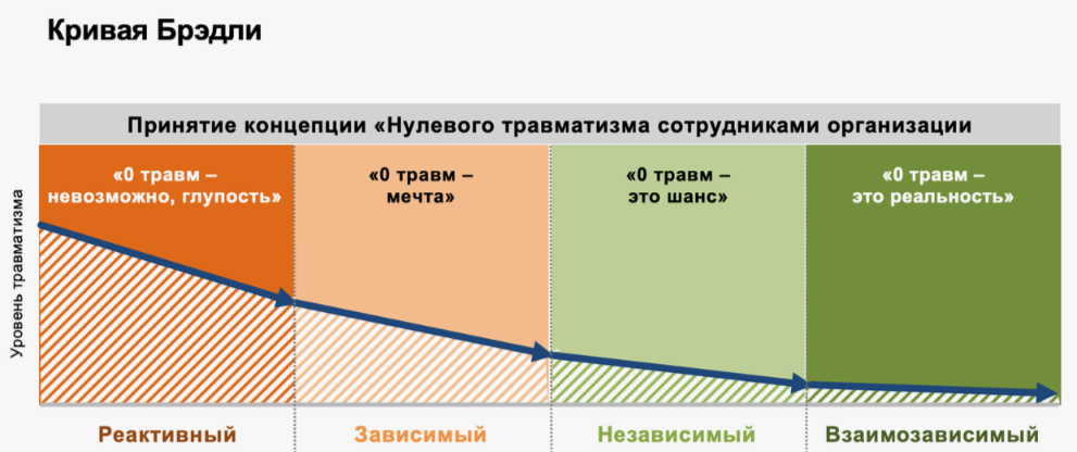 кривая Брэдли