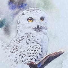 Адельгейда