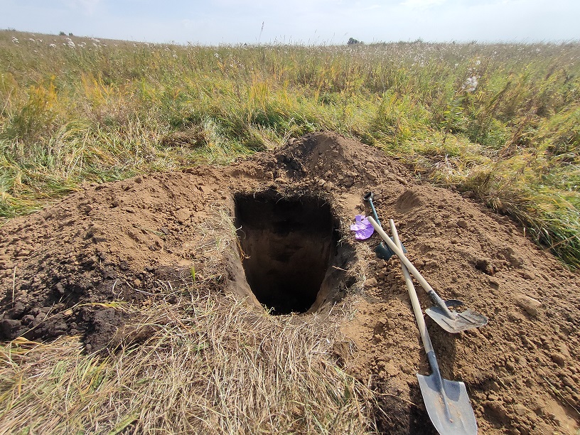 Охрана труда в инженерных изысканиях: экология