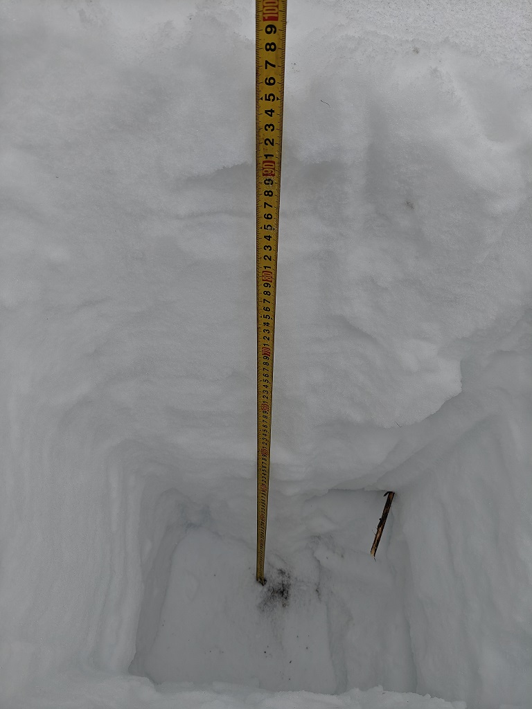 Охрана труда в инженерных изысканиях: экология