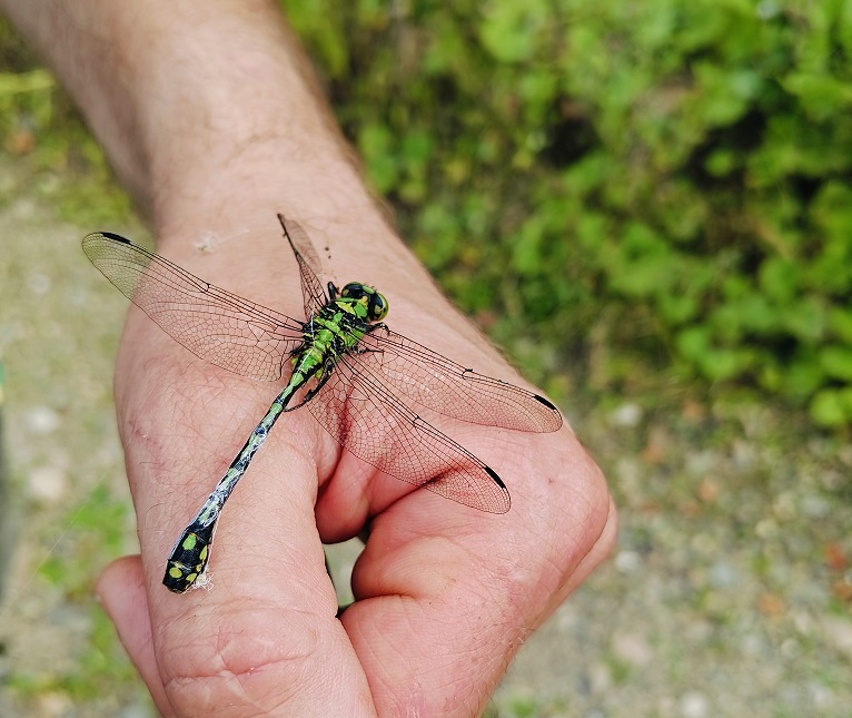 Охрана труда в инженерных изысканиях: экология
