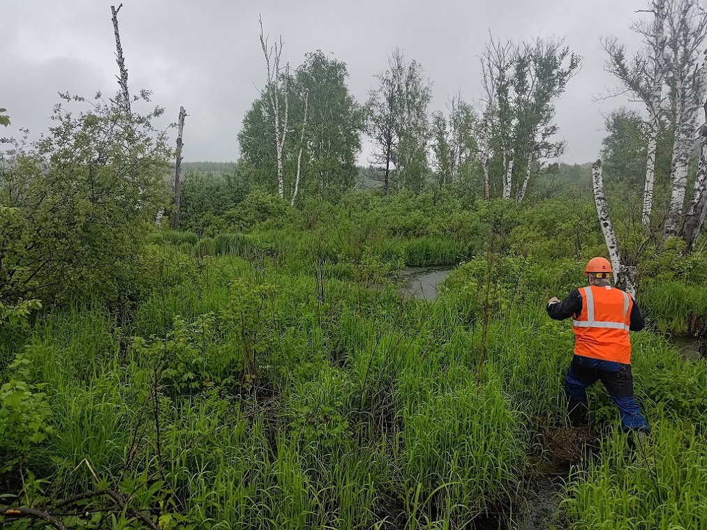 Охрана труда в инженерных изысканиях: экология
