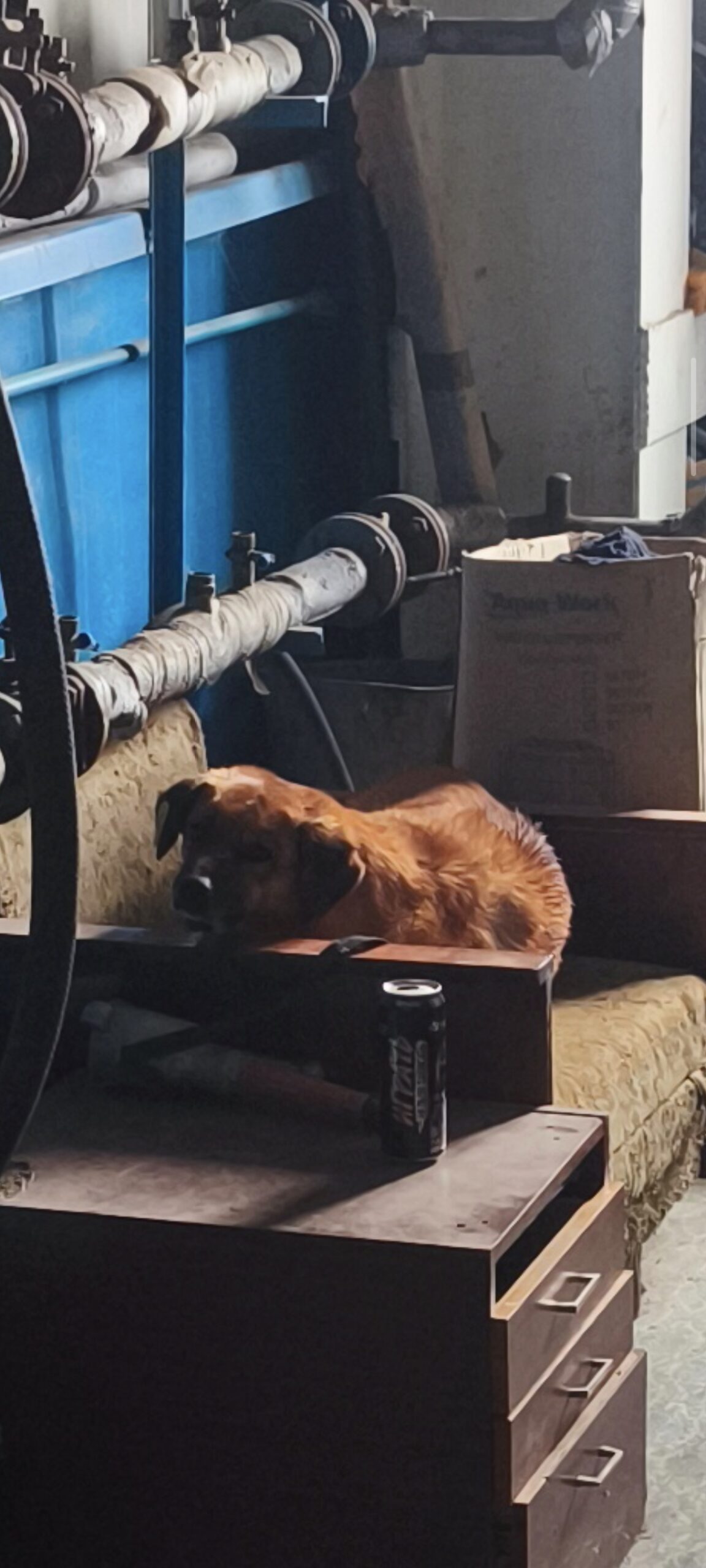 Профессиональные риски для «полевого» сотрудника отдела охраны труда