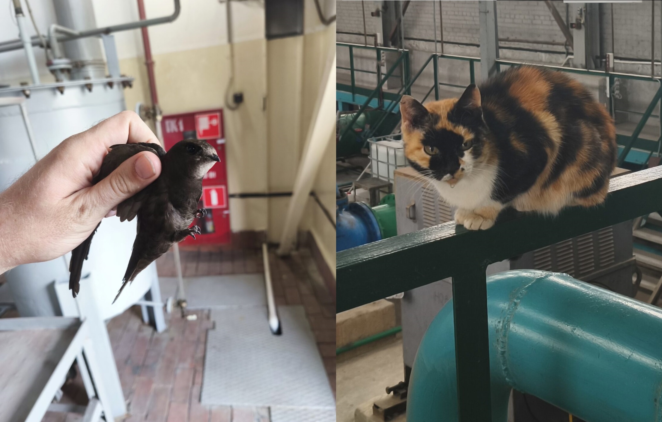 Профессиональные риски для «полевого» сотрудника отдела охраны труда