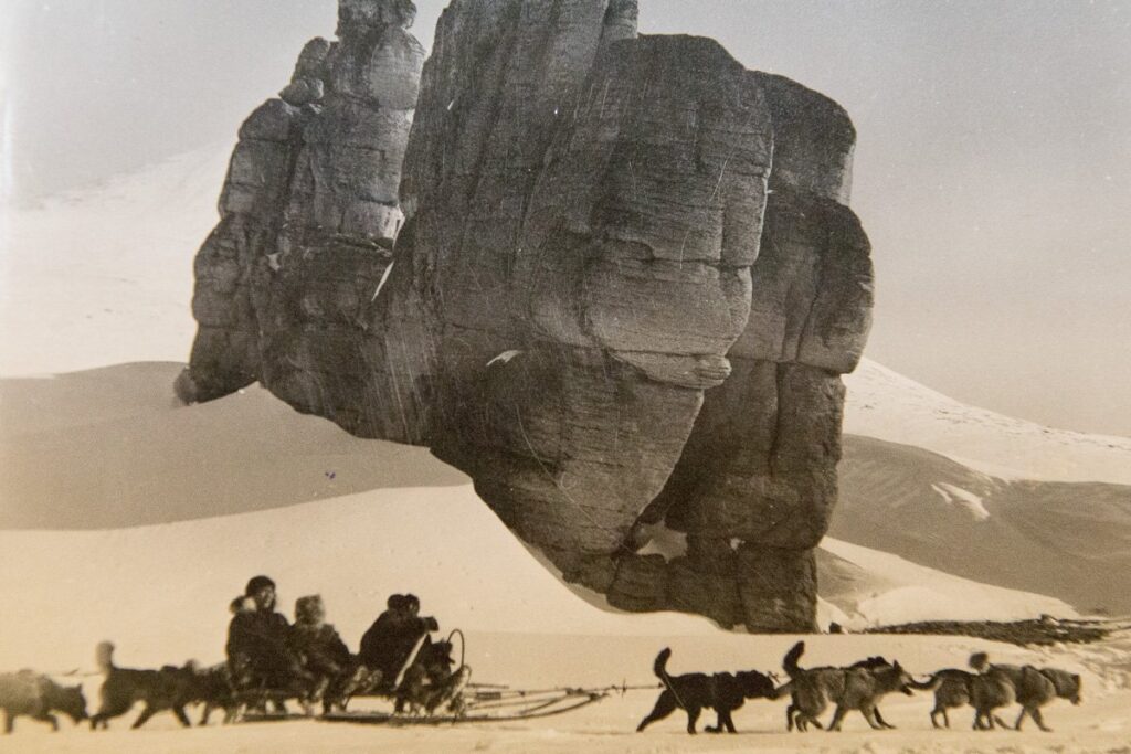 территория-1