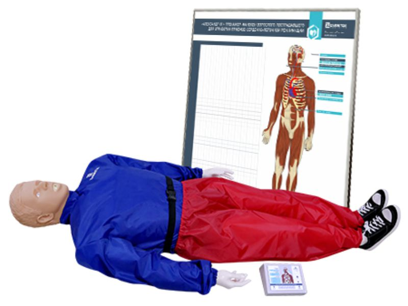Материально-техническая база для обучения оказанию первой помощи пострадавшим. Базовый минимум
