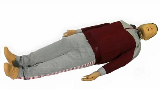 Материально-техническая база для обучения оказанию первой помощи пострадавшим. Базовый минимум