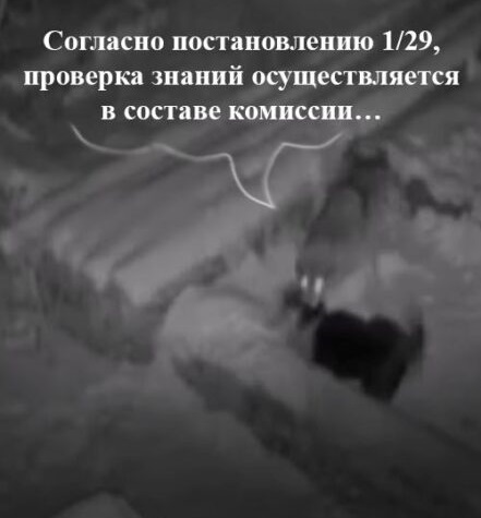 Санитары охраны труда